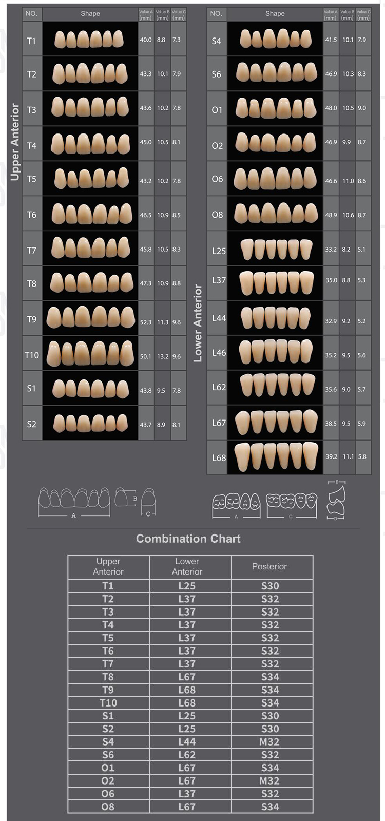 R103 Three Layer Acrylic Resin Teeth